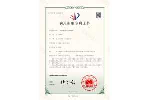 专利